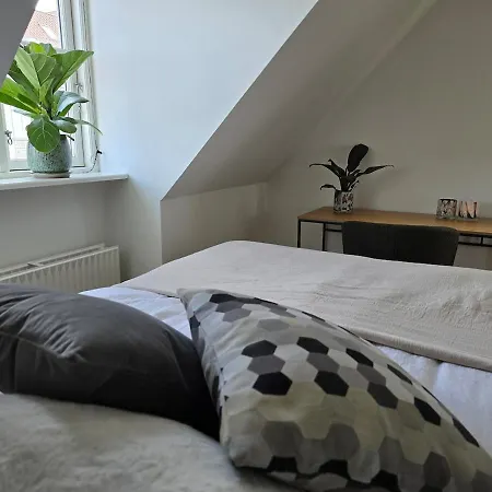 Luxurious Penthouse, Frederiksbjerg